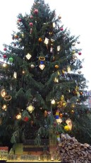 And the real Christmas-Tree!