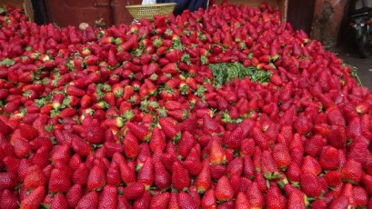 Erdbeer-Rausch