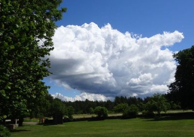 Großer Himmel über Saaremaa